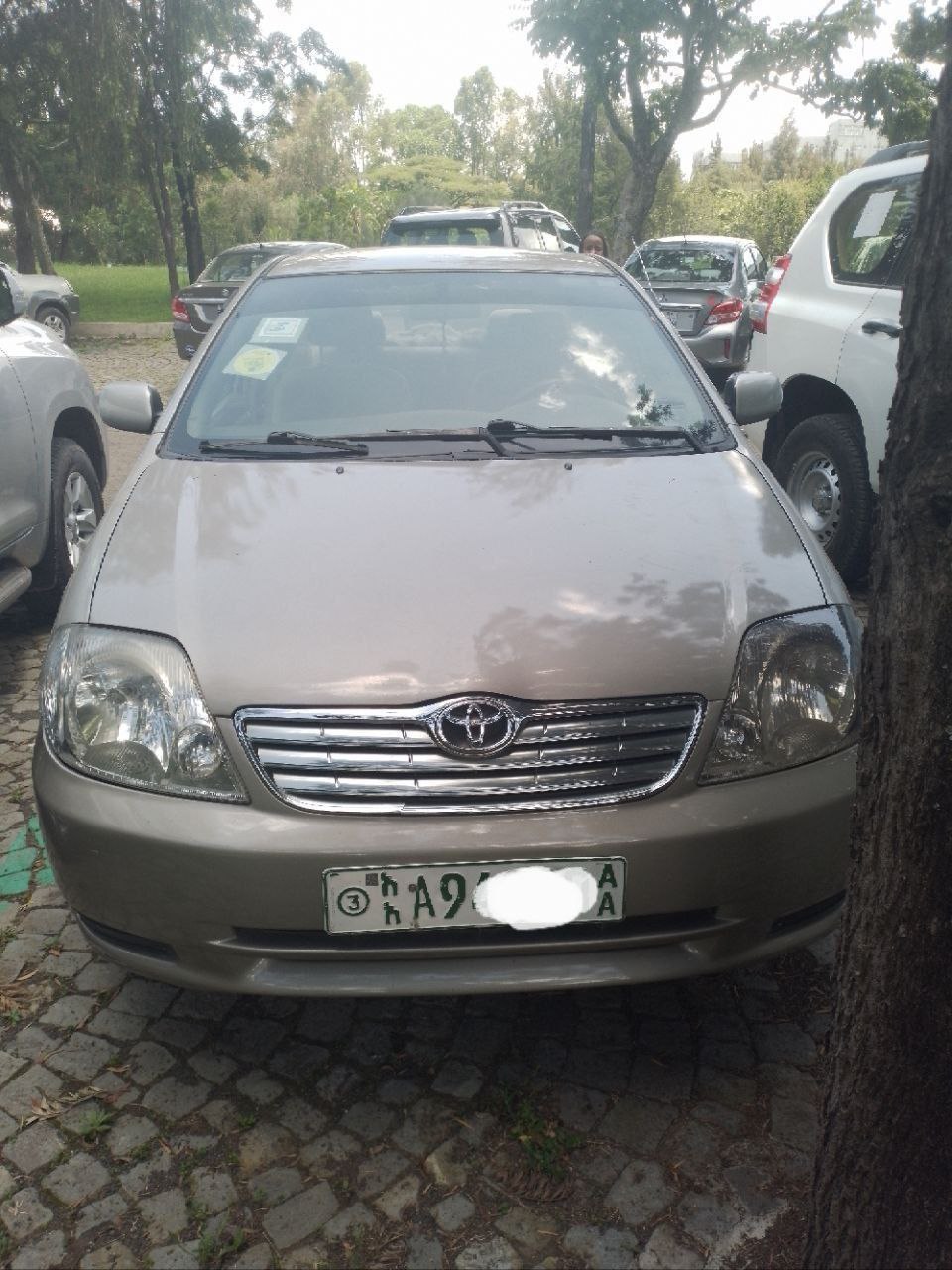 Toyota Land Cruiser 2003