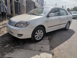 Toyota Land Cruiser 2004 exterior