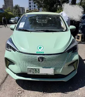 2024 Changan BenBen E-Star for Sale