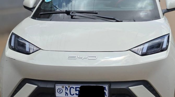 2026 Bud seagull for Sale