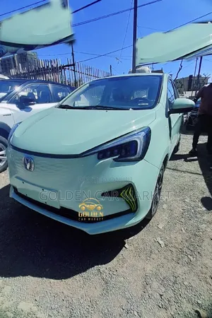 2023 Changan BenBen E-Star for Sale